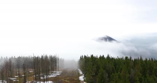 Fog advancing over the forest and surrounding hills during a sunny afternoon.