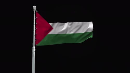 Realistic Waving Palestine Flag on Pole