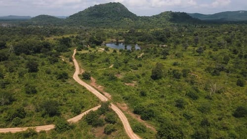 Beautiful aerial drone shot over Hurulu Eco Park, Sri Lanka at daytime. Green grasslands with a smal