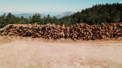 Bûches d'arbres empilées sur une clairière dans les montagnes grecques par une journée d'été ensoleillée
