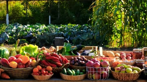 Fruits and Vegetables at the Farmers Market Selective Focus