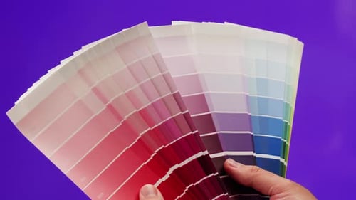 Color Pallet Choosing the Color By Designer Furniture Real Estate or Construction Works Creative