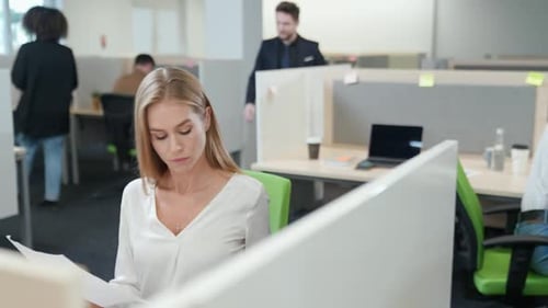 International Office Managers Team at Work a Focused Female Accountant Works with Financial