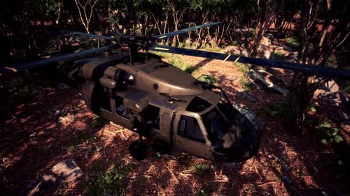 Hélicoptère militaire dans la jungle profonde