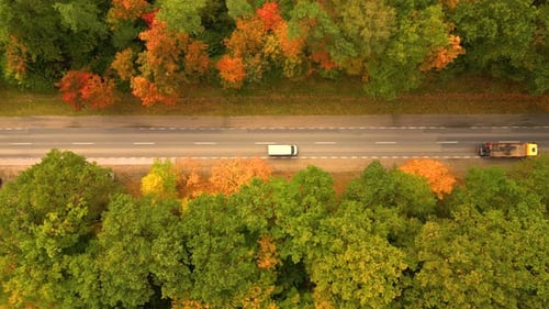 Aerial View Above Road in Forest in Fall With Cars. Aerial Top View Over Straight Road With Cars in