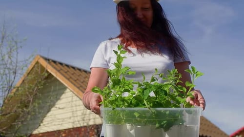 Woman Holding Container of Plants on Sunny Day