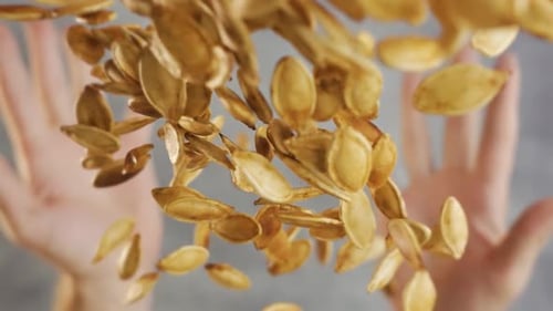 Pumpkin Seeds Tossed and Falling in Slow Motion