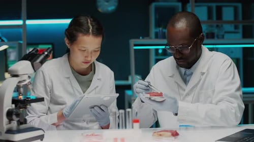 Scientists Examining Lab Grown Meat in Laboratory