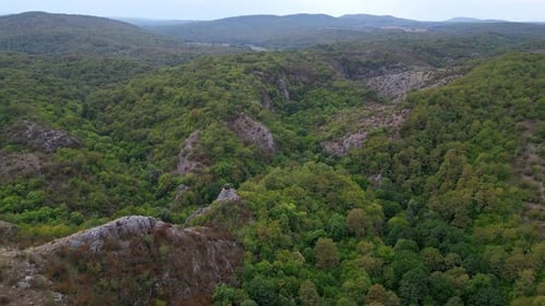 A Stunning Aerial View From a Drone Flying Over Green Forested Mountains in Strandzha National Park