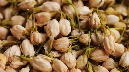 Dried Jasmine Flower Tea Macro Background Heap Pile of Jasmine Buds Herbal Tea Ingredients Fragrant