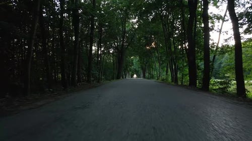 Camera Moving on Road Through Forest with Sunlight Beams