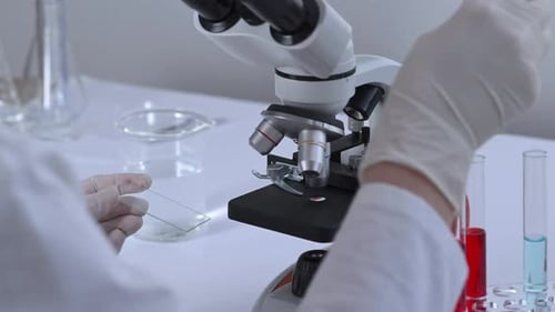 Scientist Prepares Sample on Microscope Slide in Lab