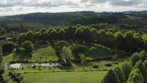 Drone revealing wedding venue in a green field under the tree with lights. Tradition outdoor wedding