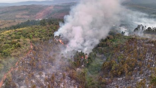 Aerial view of orange flames in hilltop forest fire, natural disaster