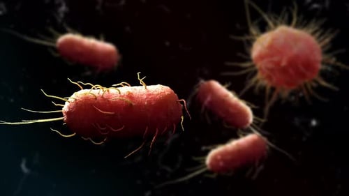 Demostración de bacterias y virus sobre fondo negro. Animación 3D