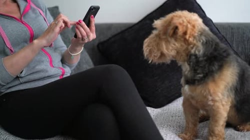 Woman Sits with Dog and Uses Smartphone