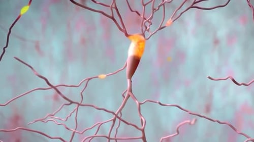 Glühendes Neuron in einem komplexen neuronalen Netzwerk