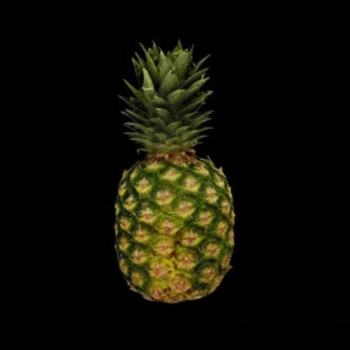 Rotating 3D Pineapple - Seamless Endless Loop in 4K