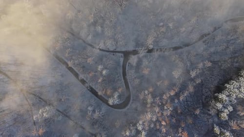 A top-down aerial view of a winding road cutting through a snow-covered forest in winter. Frosted