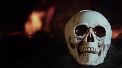 Halloween Concept Head Skull And Fire 1