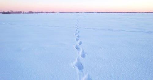 Footprints Across Snowy Field at Peaceful Winter Sunrise