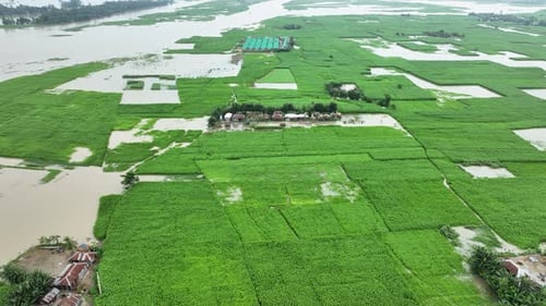 Aerial view of flooded fields, Bangladesh.
