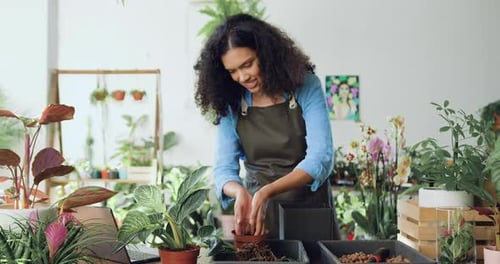 Beautiful young african american woman florist puts plants in desk at flower store. Young female