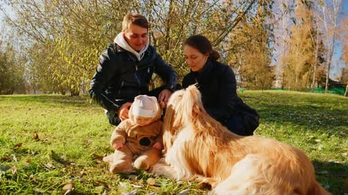 Family with Baby and Dog in an Autumn Park