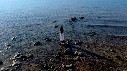 Aerial view of woman standing on a rock near lake shore