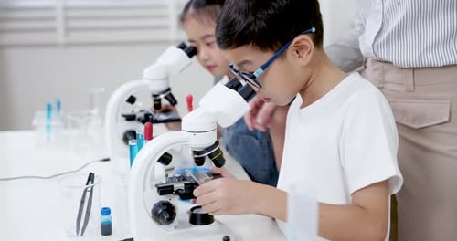 Children Use Microscopes in Science Class