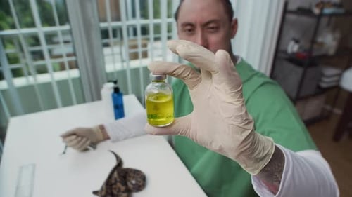 Un herpetólogo masculino sostiene una ampolla con vitamina líquida que inspecciona a Python