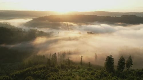 Aerial View of Misty Hills at Sunrise