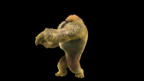 11 Gorilla tanzt HD