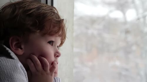 Boy And Snow