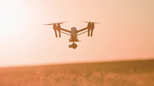 Amazing View of Flying Copter Drone Scanning Agricultural Landscape Harvest Innovation Technology