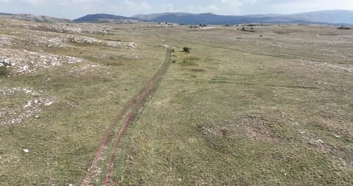 Aerial View of Green Meadow with Dirt Road