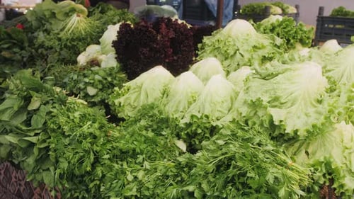 Fresh Green Salad Vegetables Standing in Sack at Market Place in Turkey
