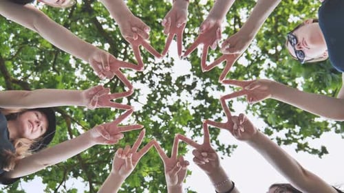 Girlfriends Join Fingers in a Circle Against the Background of Tree Branches