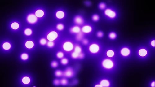 Abstract Purple Bokeh Lights Loop Background