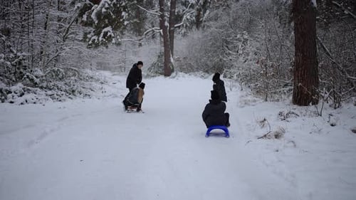 Children Go Sledding in Winter