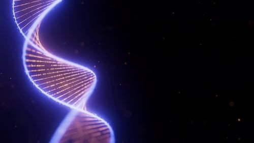 Abstract Digital DNA Double Helix Spiral with Data Flow Loop Animation Medical Science Concept of