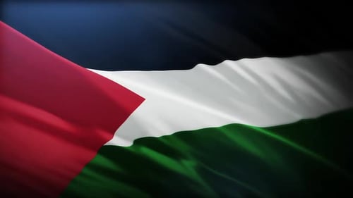 Waving Palestinian Flag Realistic Animation