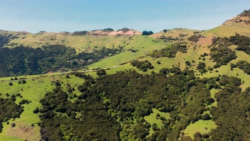 sun, europe, trees, woods, yellow, above, natural, trunk, roadway, scenery, car, asphalt, way, trans