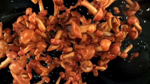 Orange Mushrooms with Water on Black Background