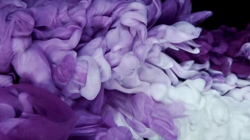 Purple and White Ink Billowing on Black