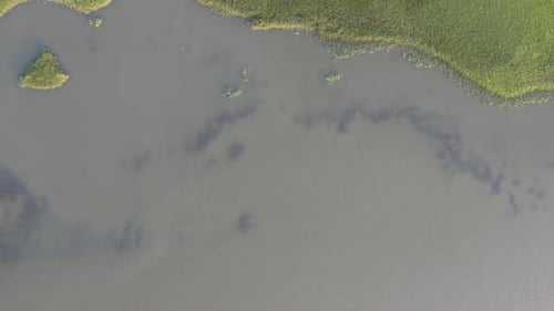 Aerial view of marshland and water, United States.