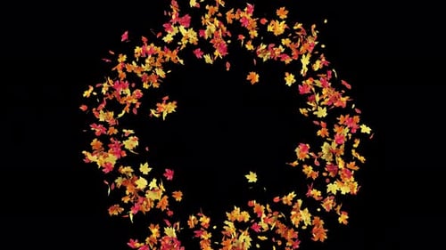 Maple Leaves Explosion 4K