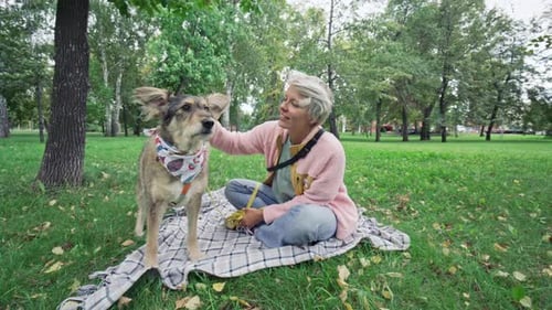 Smiling Woman Sitting on Blanket and Petting Her Dog in Park