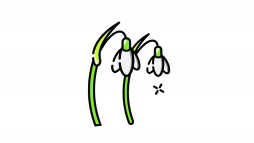 Animated Sparkling Snowdrop Flowers Line Art Loop