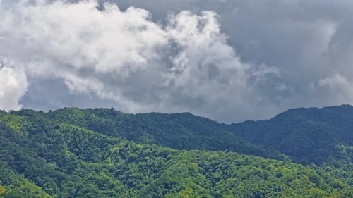 Time Lapse Landscape of Tropical Rainforest white clouds and mountain jungle